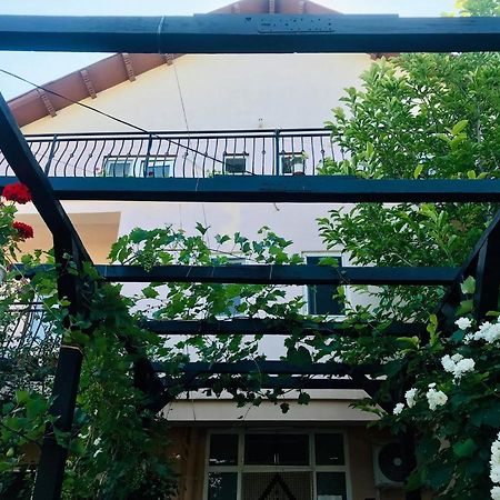 Hotel Vila A&S Costinești Exterior foto